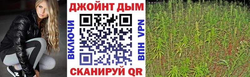 Шишки марихуана сатива  Болгар 